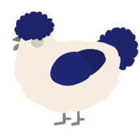 Sailor, a cream and navy chicken