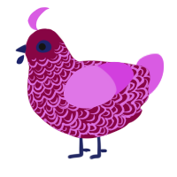 (unnamed), a maroon and orchid chicken with a double-lace pattern