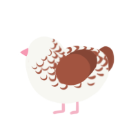 Hyppocrates, a white and russet chicken with a half-lace pattern