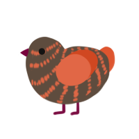 (unnamed), a bark and vermilion chicken with a bar pattern