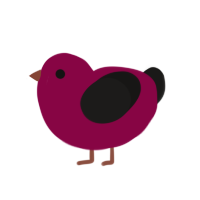 Chapa Chapa, a maroon and sable chicken