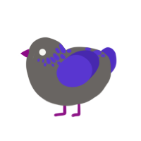 (unnamed), a grey and indigo chicken with a neck-speckle pattern