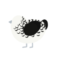 Possessed, a white and black chicken with a half-lace pattern