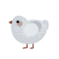 (unnamed), a mist chicken with a half-lace pattern