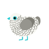 Bluefooted, a white and ash chicken with a lace pattern