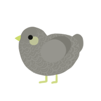 Silvermist, a ash chicken with a double-lace pattern