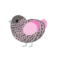 Lilac, a grey and pink chicken with a lace pattern