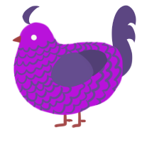 stella, a amethyst and overcast chicken with a lace pattern