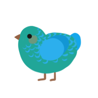 Seafoam, a turquoise and sky chicken with a half-lace pattern