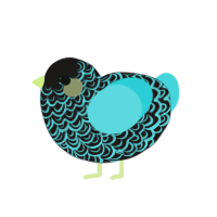 Ciaran, a sable and aqua chicken with a double-lace pattern