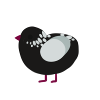 Waxing Crescent, a sable and silver chicken with a neck-speckle pattern