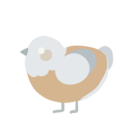 Café au lait, a beige and mist chicken with a head pattern