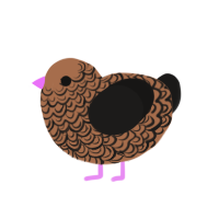 Wonderful, a brown and sable chicken with a double-lace pattern