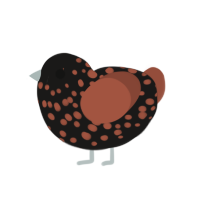 black and tan, a sable and russet chicken with a speckle pattern