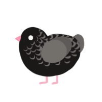 (unnamed), a sable and grey chicken with a half-lace pattern