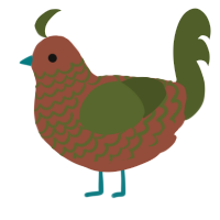 (unnamed), a russet and olive chicken with a lace pattern