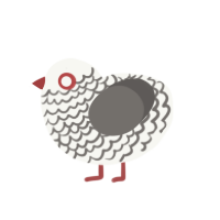 (unnamed), a white and grey chicken with a lace pattern