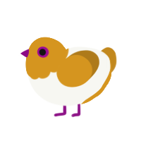 (unnamed), a white and ochre chicken with a head pattern