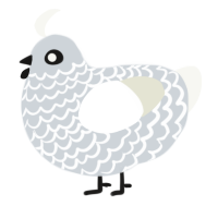 egg on leg, a mist and white chicken with a lace pattern