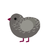 (unnamed), a grey and ash chicken with a half-lace pattern