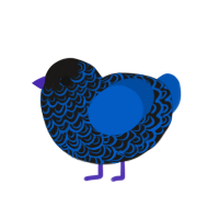 DJ, a sable and ultramarine chicken with a double-lace pattern