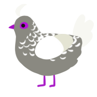 (unnamed), a ash and white chicken with a half-lace pattern