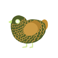 Safari, a olive and gold chicken with a lace pattern