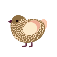 Chestnut, a grey and pink chicken with a lace pattern