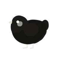 Like a Grudge, a black and sable chicken with a head pattern