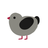 unamed, a ash and sable chicken