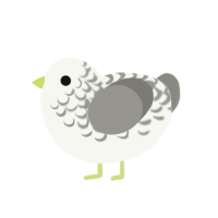 (unnamed), a white and ash chicken with a half-lace pattern