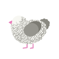 Stubs, a white and ash chicken with a double-lace pattern