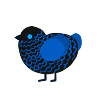 Baby Blue, a black and ultramarine chicken with a lace pattern