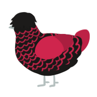 A sable and crimson chicken with a lace pattern