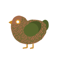 (unnamed), a brown and olive chicken with a double-lace pattern