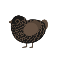 (unnamed), a sable and bark chicken with a lace pattern