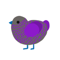 Hawkguy, a grey and violet chicken with a lace pattern