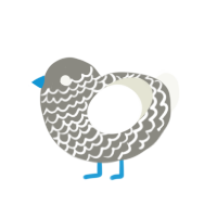 Tracer, a ash and white chicken with a lace pattern