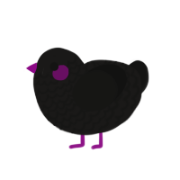 enderman, a sable and black chicken with a lace pattern