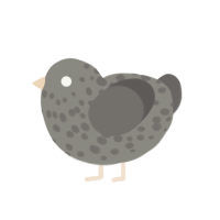 sad and grey, a ash and grey chicken with a speckle pattern