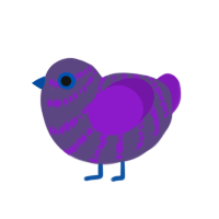 (unnamed), a overcast and violet chicken with a bar pattern