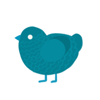 (unnamed), a sea chicken with a lace pattern