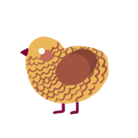 (unnamed), a honey and russet chicken with a lace pattern