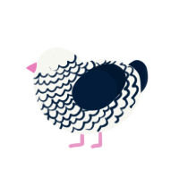 Midnight Snow, a white and tumblr chicken with a lace pattern