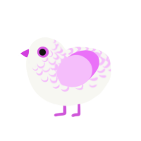 (unnamed), a white and lavender chicken with a half-lace pattern