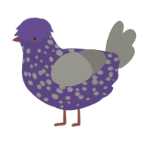 (unnamed), a overcast and ash chicken with a speckle pattern