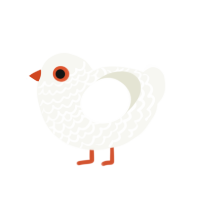 Puffball, a white chicken with a lace pattern