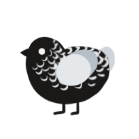 Penumbra, a sable and mist chicken with a half-lace pattern