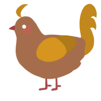 Kiwi, a brown and ochre chicken