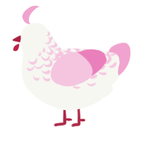 Hedylogos, a white and pink chicken with a half-lace pattern